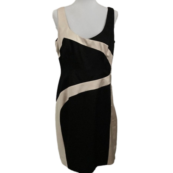 Satiny Dress - Picture 9 of 9